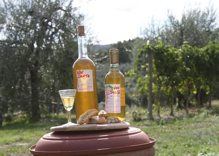 Agriturismo Podere Somigli di Lorenzo Correani