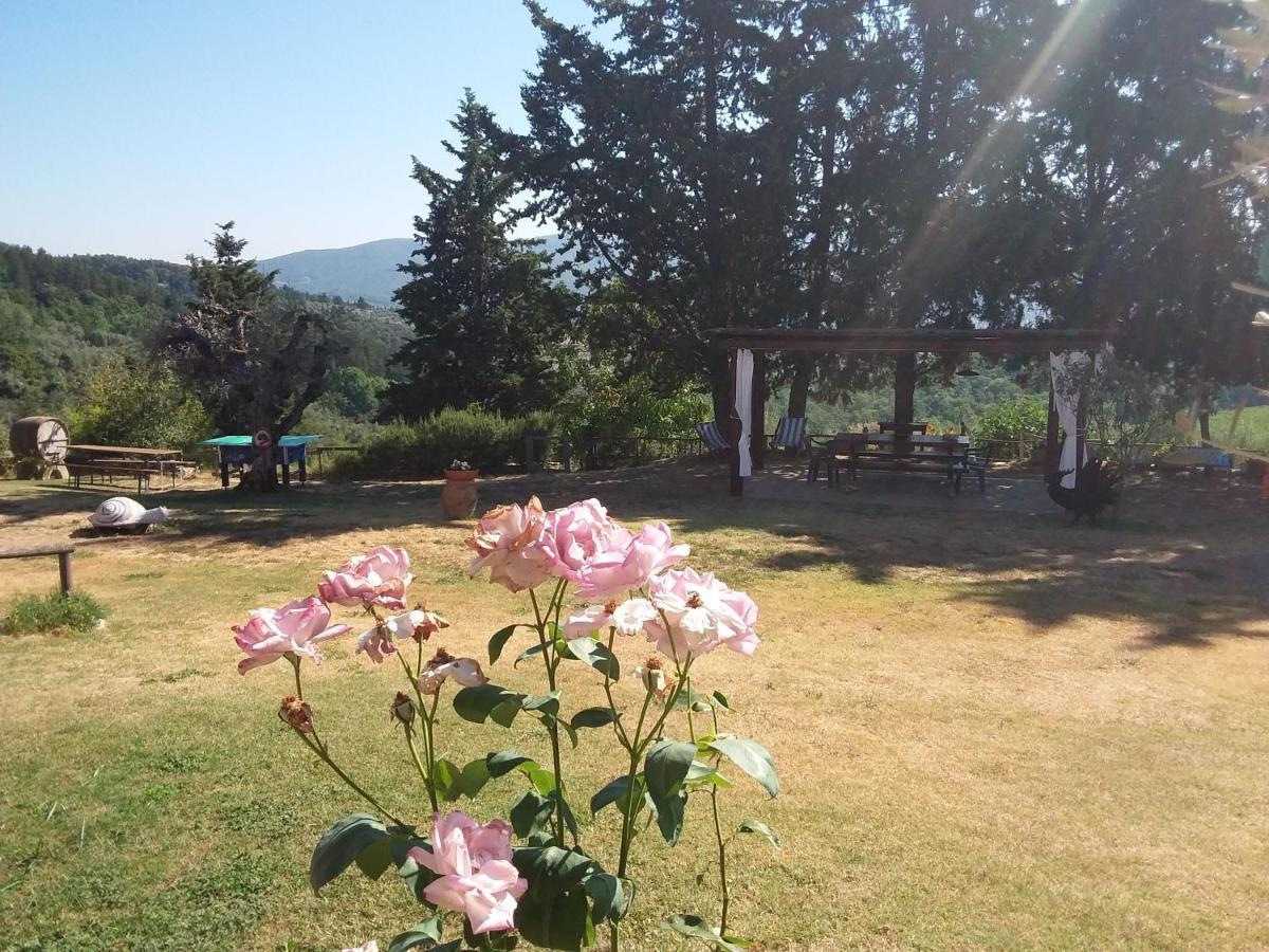Pensión Agriturismo Podere Somigli Di Lorenzo Correani